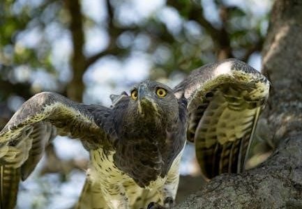 national park adventure guide