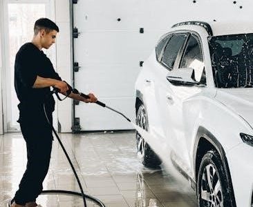 simpson 3000 psi pressure washer manual
