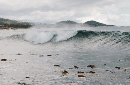 south seas spas manual