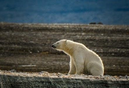 alaska guide creations holster